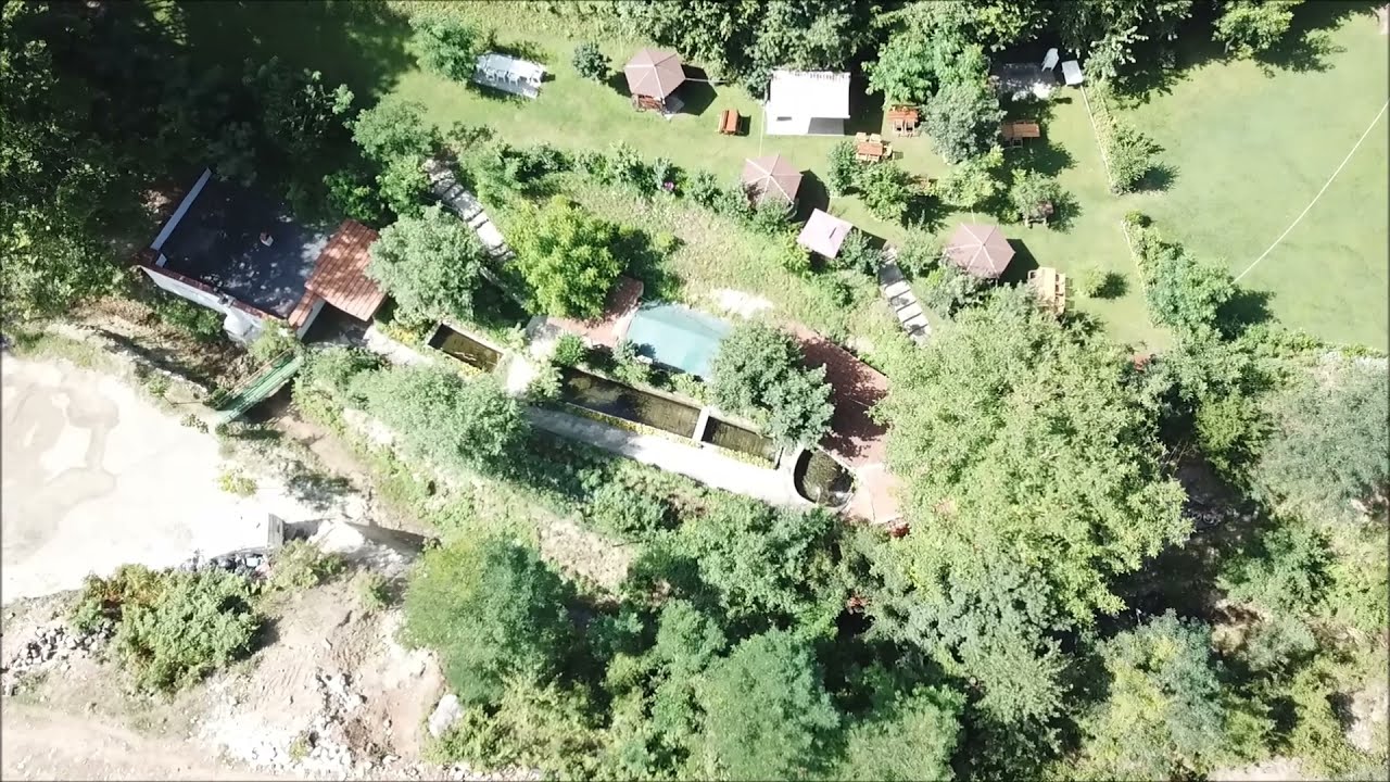 Lagja Rexha Ivajë