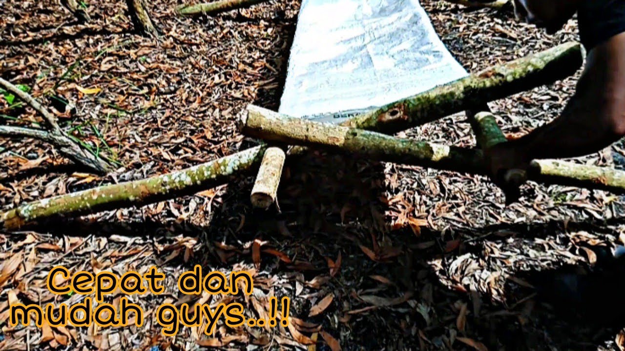 CEPAT DAN MUDAH || CARA MEMBUAT TEMPAT TIDUR DARURAT Dalam Hutan Tanpa Ikatan Tali || Bushcraft