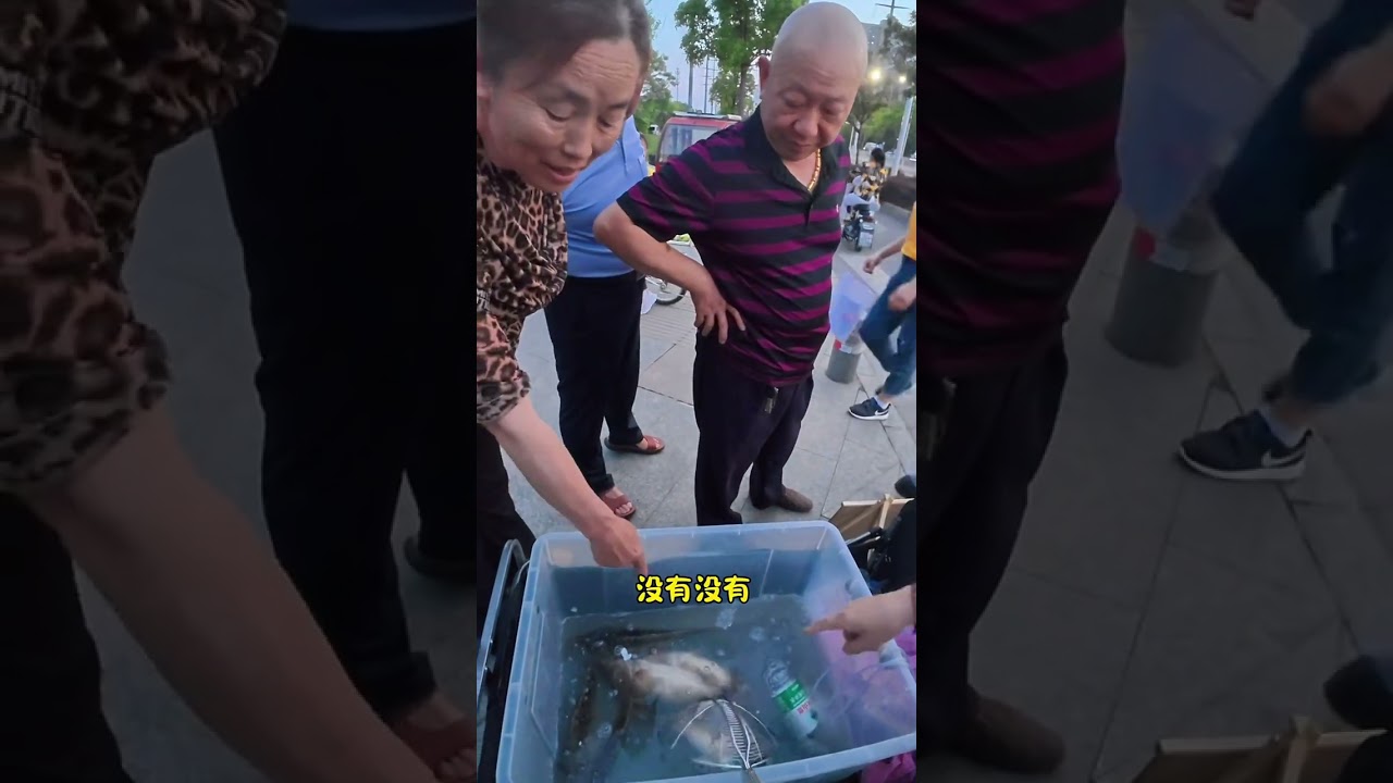开辟新市场，必须定好规矩，不议价，不优惠。#vlog十亿流量扶持计划 #我的摆摊生活 #路亚 #鳜鱼 #卖鱼人