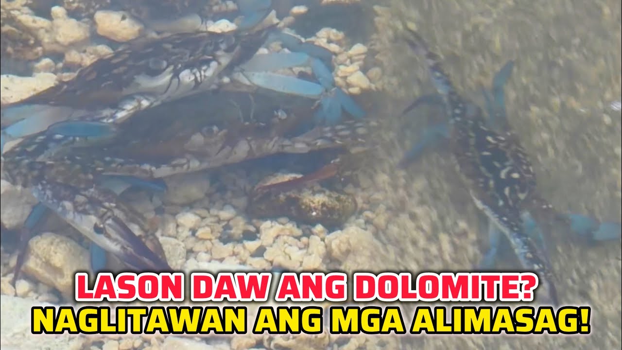 MANILA BAY NAGLITAWAN ANG MGA ALIMASAG SA DOLOMITE BEACH! 