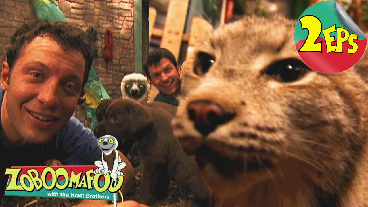 Puppies + Tracks | Zoboomafoo - Double Feature | Full Episodes 13 + 14