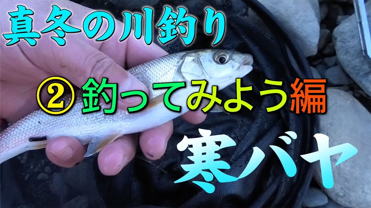 真冬の川で美味しい魚を釣ろう２【冬が旬の寒バヤ】