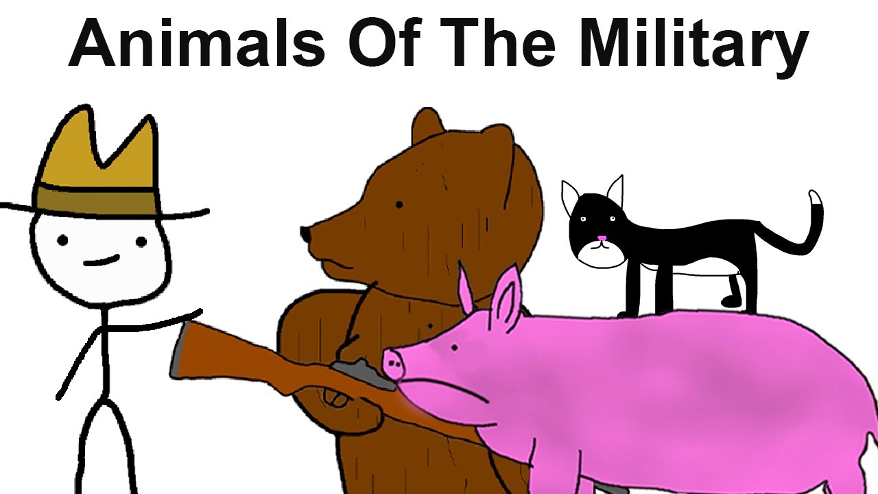The Weirdest Military Animals Nobody Talks About