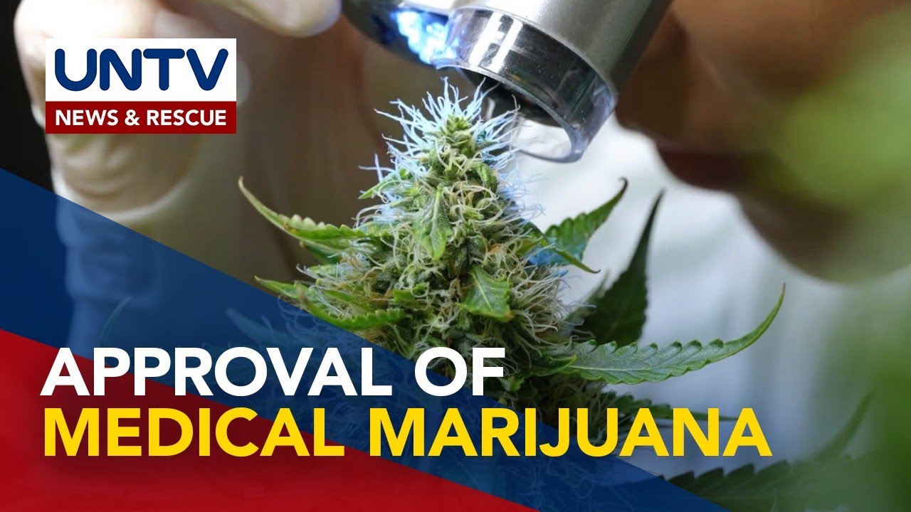 Proposal to legalize use of medical marijuana in PH will result in cheaper medicines - Rep. Barbers