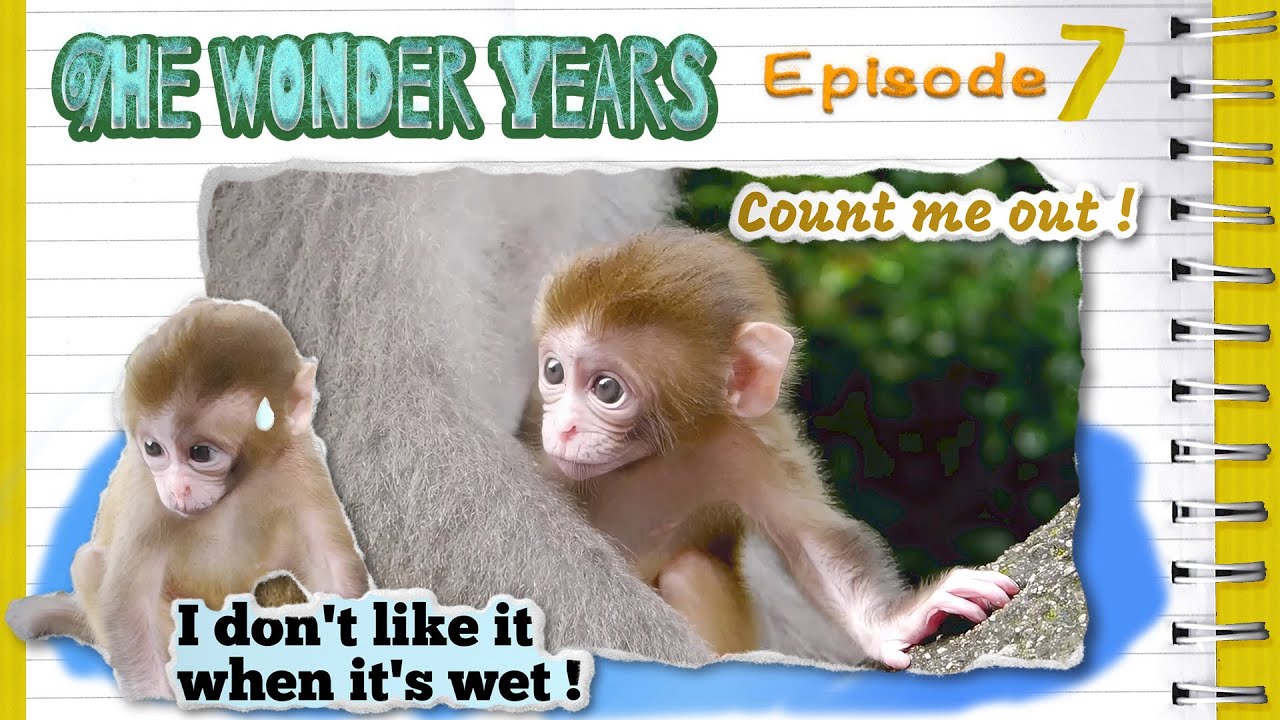 The Wonder Years - Episode 7 : Has Dopey 😍 given up ?