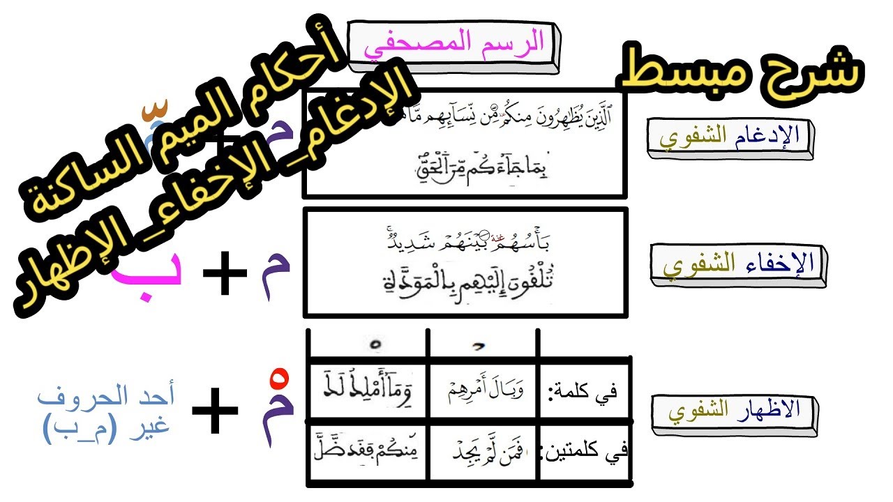 شرح مبسط لأحكام الميم الساكنة( الإدغام الشفوي_ الإخفاء الشفوي_الإظهار الشفوي)