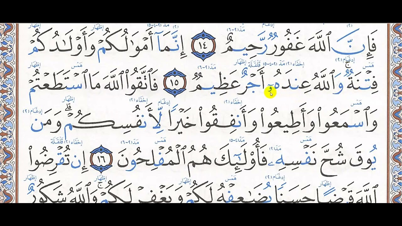 تحفيظ سورة التغابن (15 - 18)