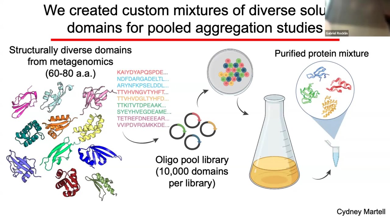 Predicting protein folding stability and aggregation propensity using large-scale experiments