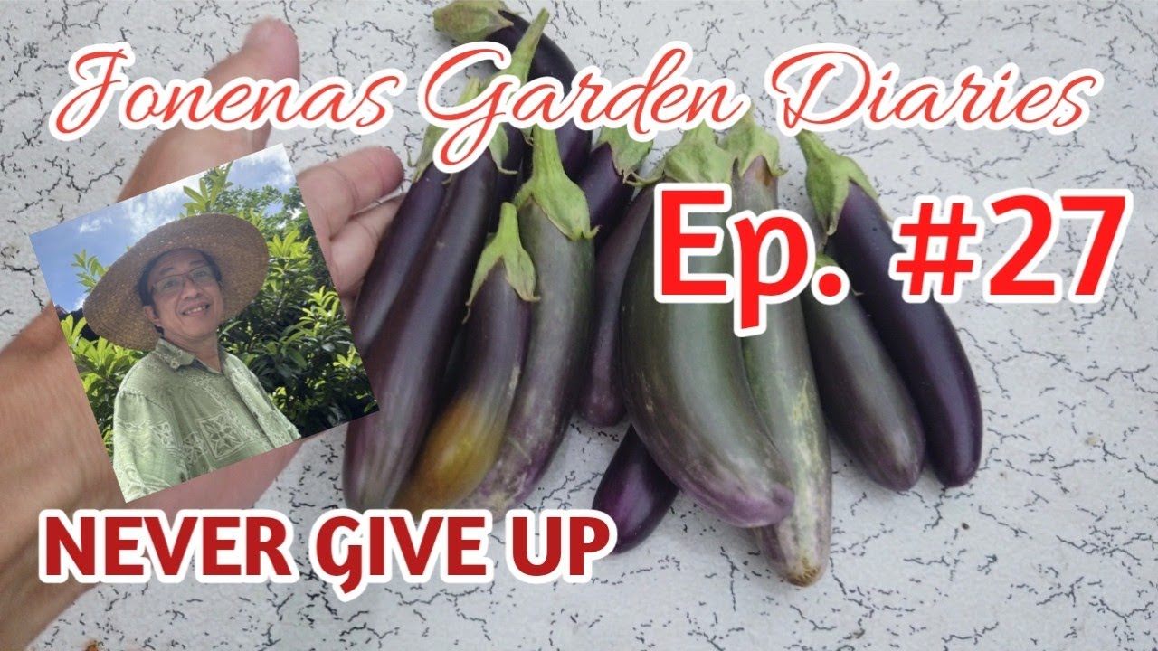 Ep. 27 | From Hope to Harvest: Saving Plants & Seeing Results #jonenasgardendiaries #gardencare 