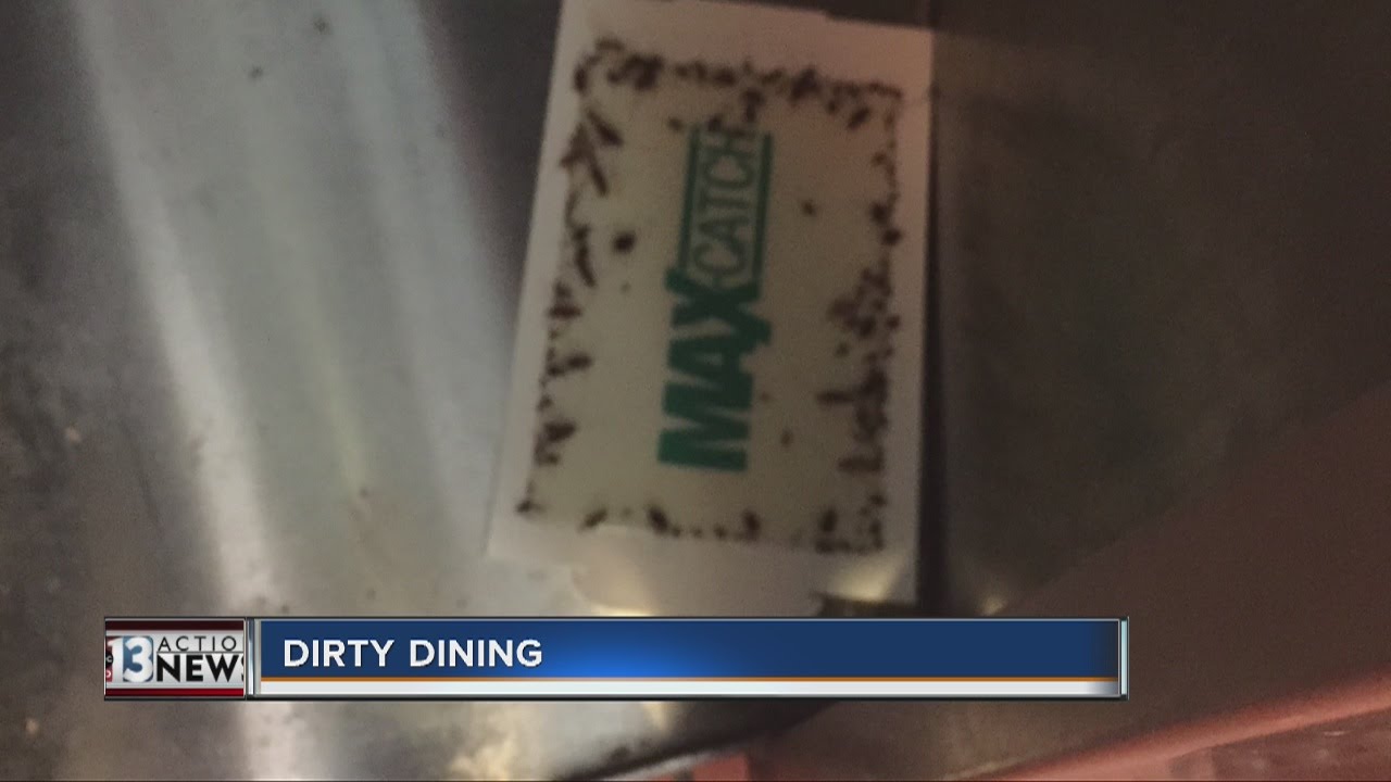 DIRTY DINING: Roaches at Honey Pig and Boulevard Mall