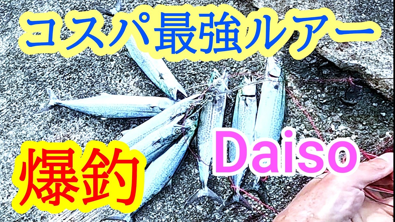 #499 釣り　サゴシ爆釣　コスパ最強ルアーはこれ　Daiso　ダイソーメタルジグ　 #釣り #フィッシング #ルアー釣り #ショアジギング #青物  #シーバス #ブリ #メジロ #サゴシ #サワラ