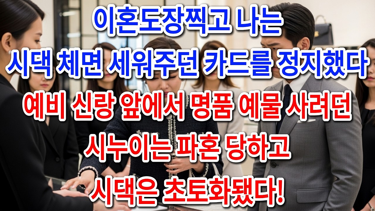 이혼도장찍고 나는 시댁 체면 세워주던 카드를 정지했다 예비 신랑 앞에서 명품 예물 사려던 시누이는 파혼 당하고 시댁은 초토화됐다!ㅣ인생사연ㅣ노후사연ㅣ사연라디오ㅣ