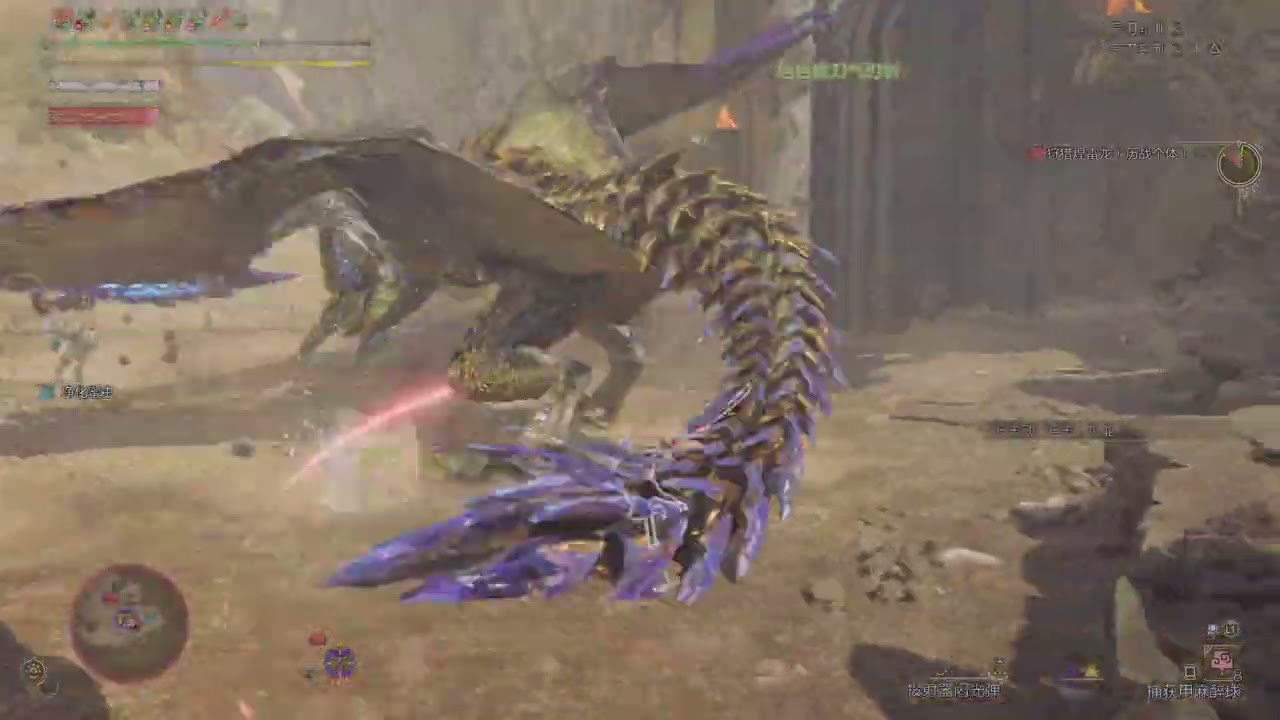 Monster Hunter Wilds 太刀 9星紫4煌雷龙 5分台