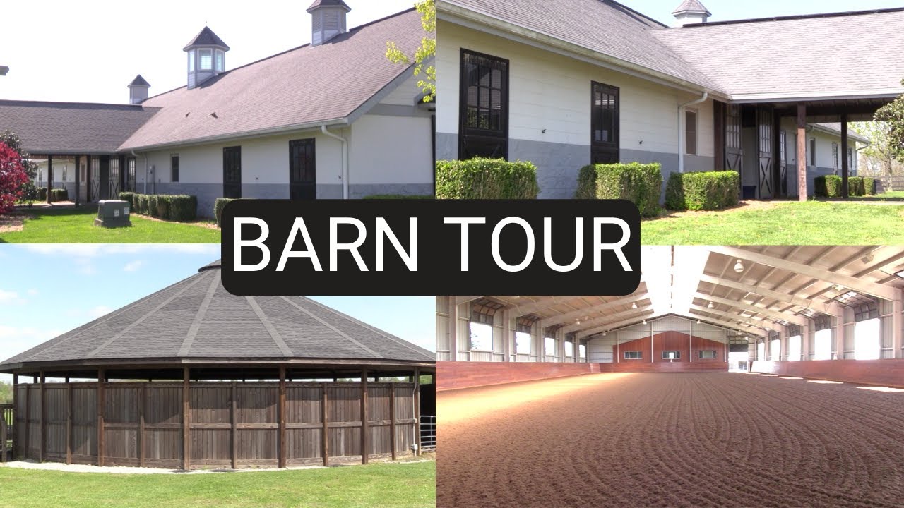 Barn Tour - Welcome to Evadi Farm!