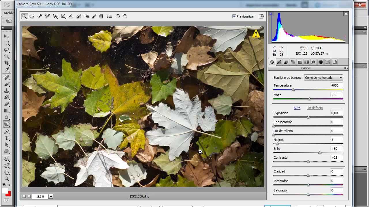 DNG Converter: Cómo abrir raws 