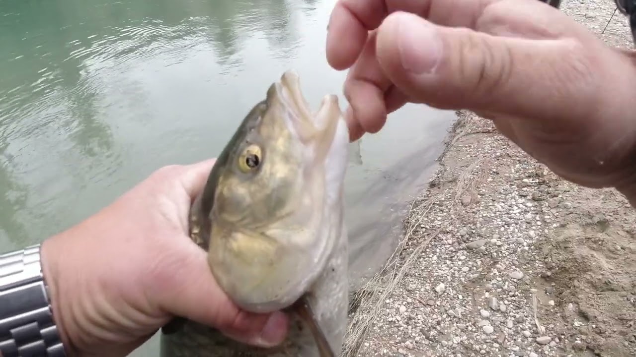 A pesca nel fiume delle