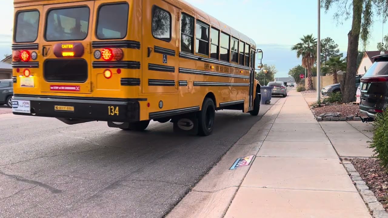 Did we almost miss the Sagan bus?