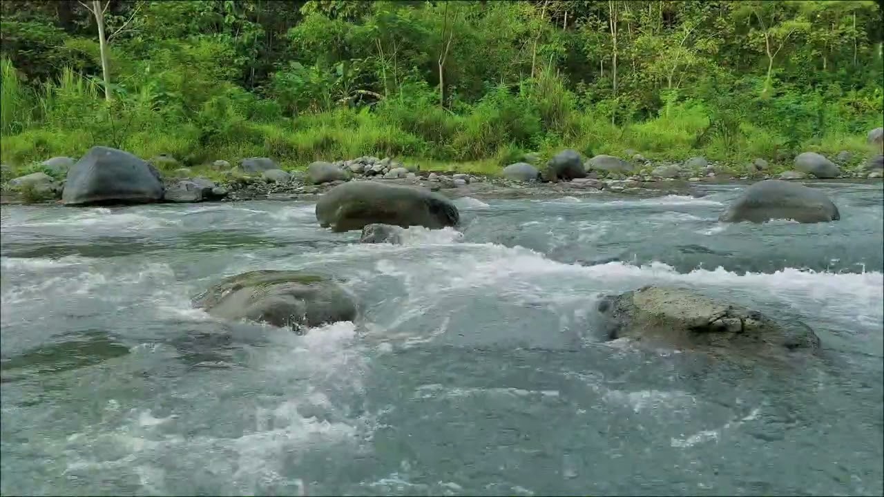Deep Rest River Flow Water Sounds for Sleep and Calmness | Natural Ambience for Stress Relief