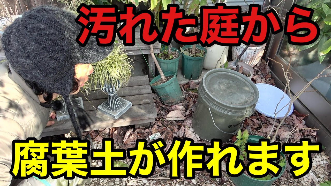 庭用の腐葉土は買うな！作れっ！！【園芸超人カーメン君】