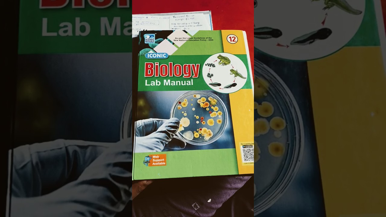 Best class 12 lab manual biology