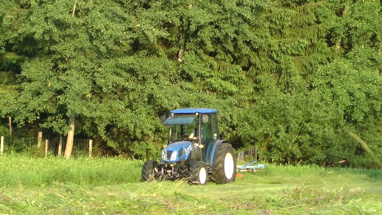 New Holland TD 3 50 beim Schwaden