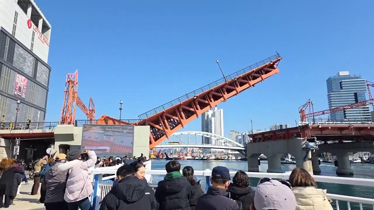 #영도다리 가 들려요~올라간다!! 다리밑에서 주워왔어요!  해파랑TV🇰🇷 라이브 방송 #Korea Busan
