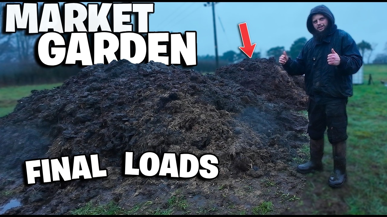 Winter Prep Continues in My No Dig Market Garden | Beds, Hotbed & Sowing