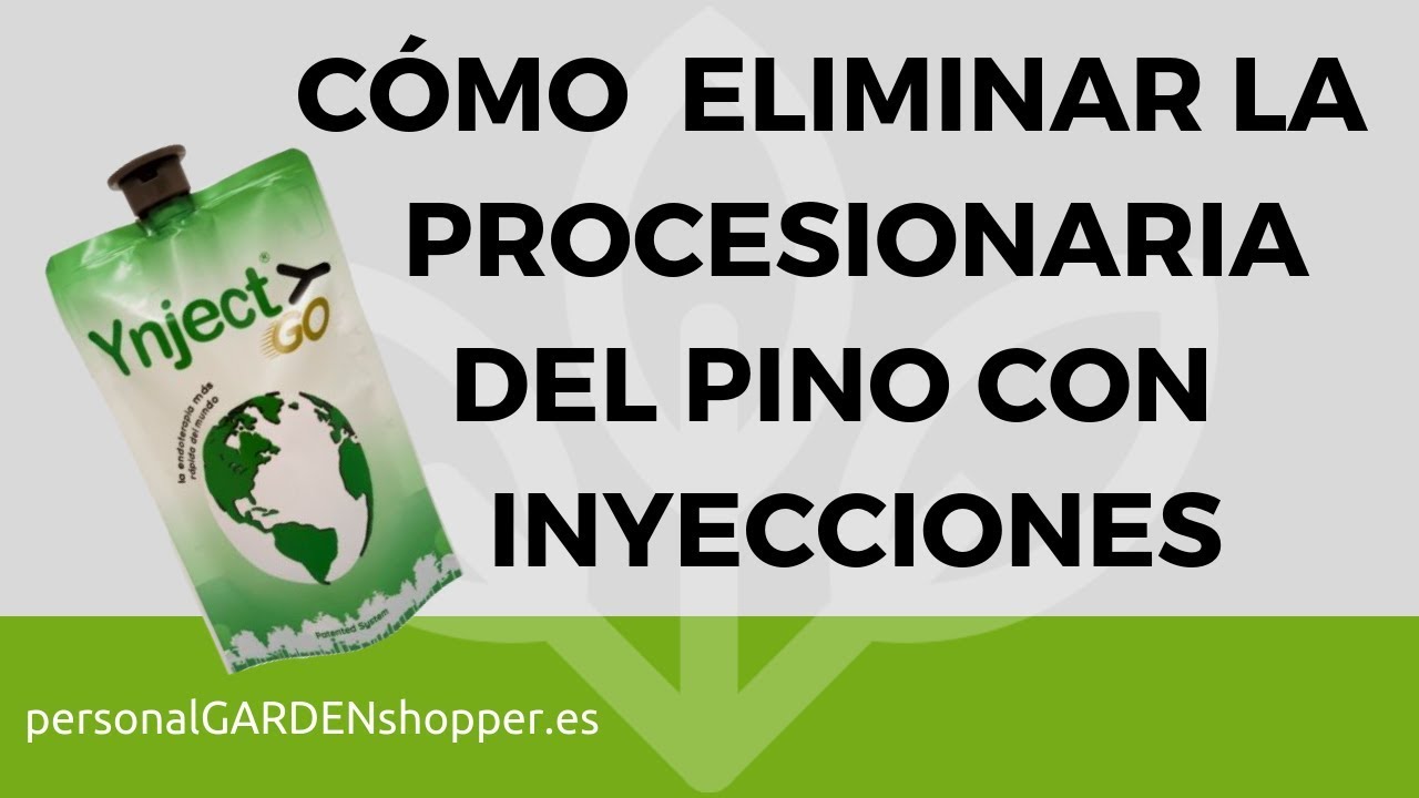 COMO ELIMINAR LA PROCESIONARIA DEL PINO CON INYECCIONES