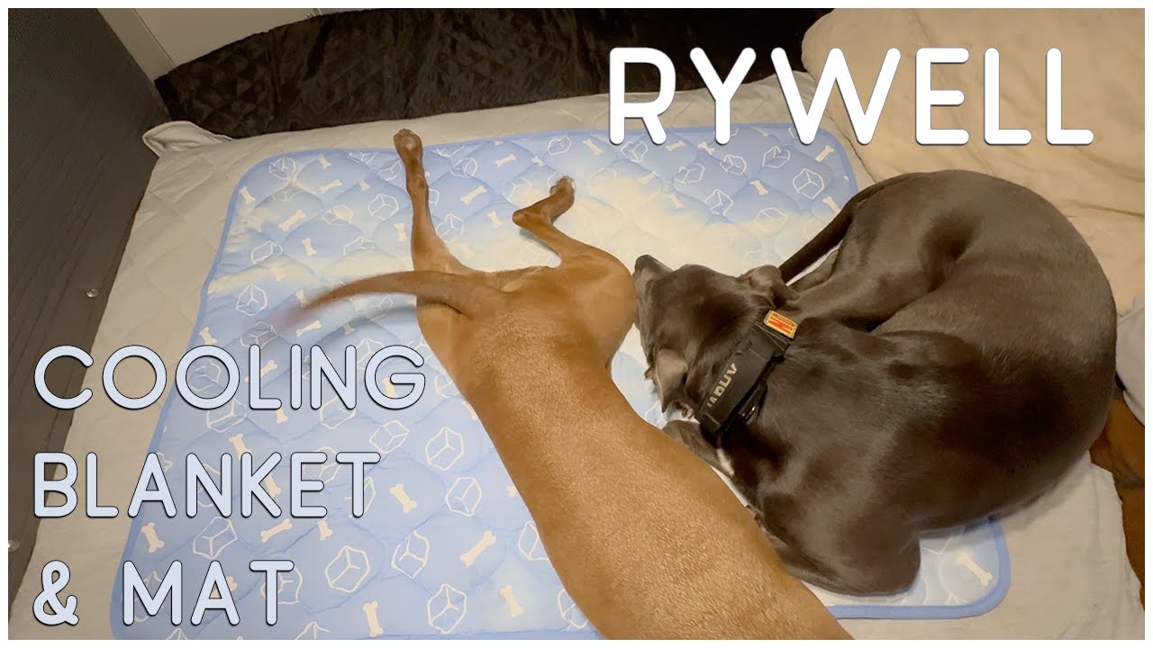 Review: Rywell Cooling Mat & Blanket for dogs. Love Dogs approved. :)