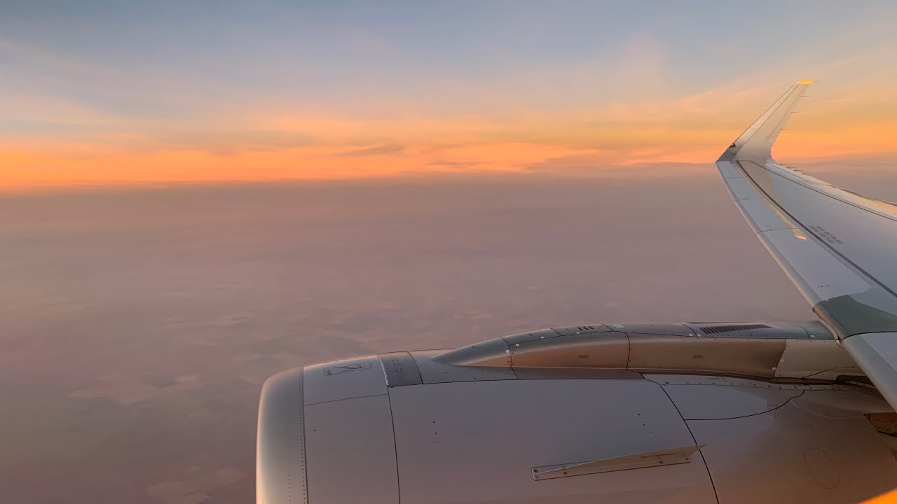 Full Flight | American Airlines | Airbus A321NEO | Dallas to Anchorage | N418AN