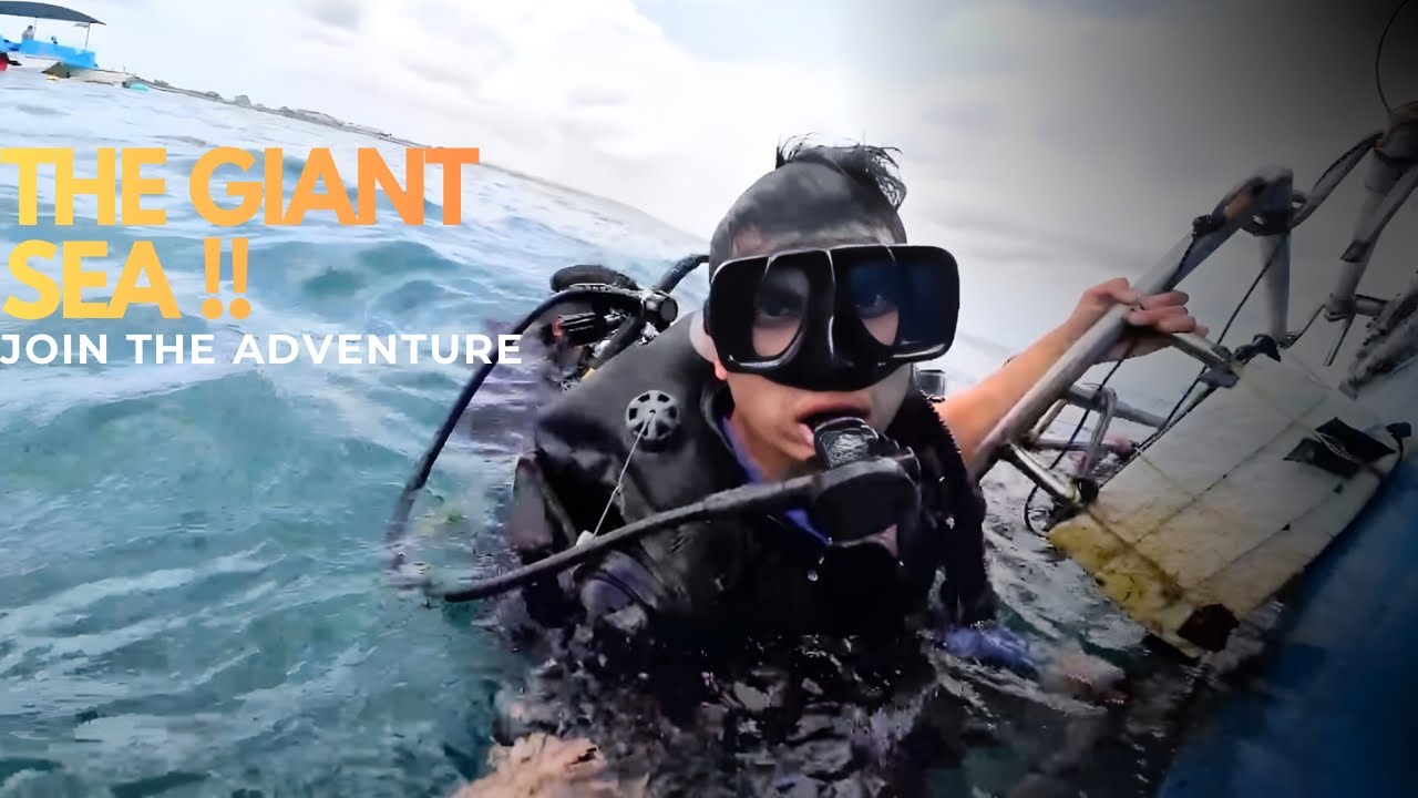 Scuba diving - The Magical World !