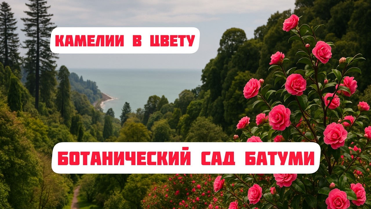 Самый красивый сад Грузии весной - Ботанический сад Батуми!