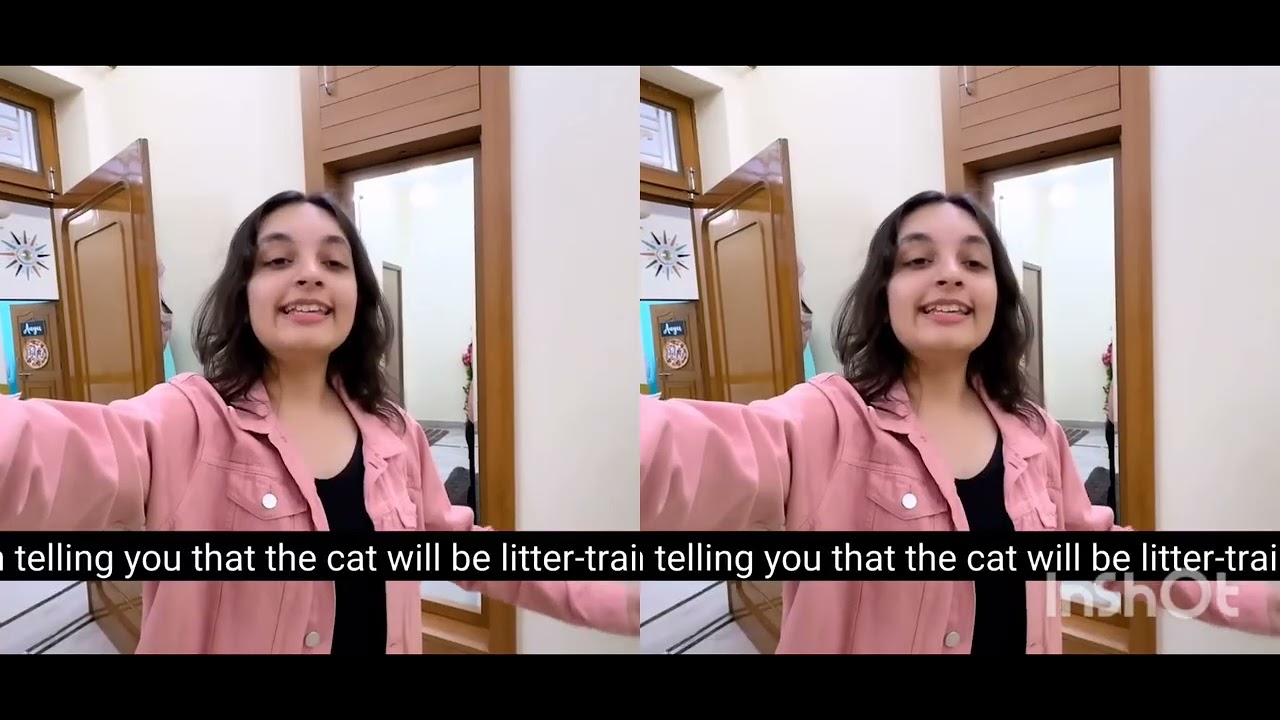 Pihu di ki cookie 😘🤩