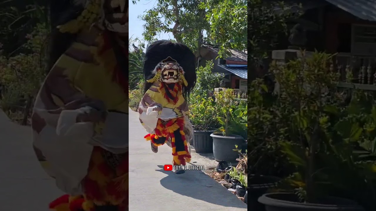 Bocil Dikejar Barongan Sampe Nangis #shorts