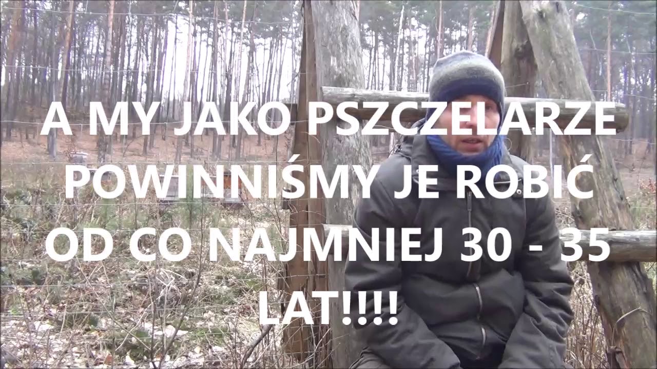 nudziarstwo o selekcji pszcz&oacute;ł odpornych na dręcza pszczelego (warrozę)