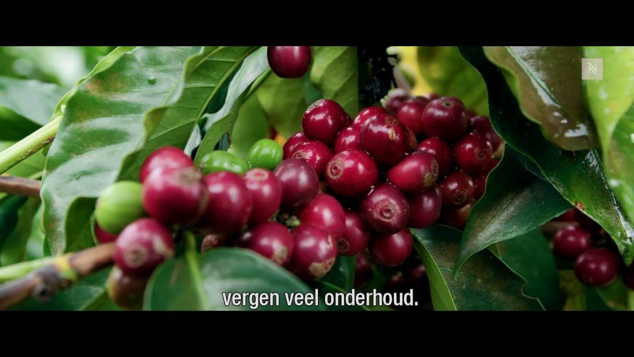 Het AAA-programma voor een betere toekomst