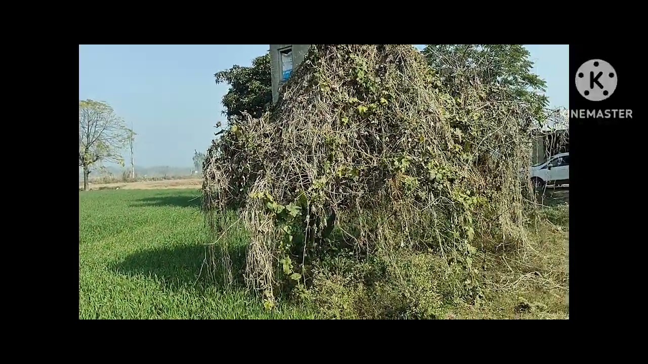 9 kille land for sale don't miss this  great deal