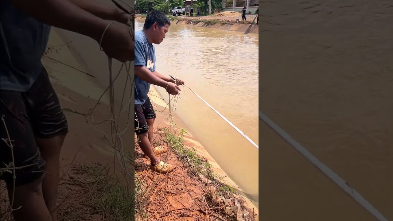 Fisherman Cast Net Fishing Real Life Amazing Fishing At Countryside.(Episode 387)