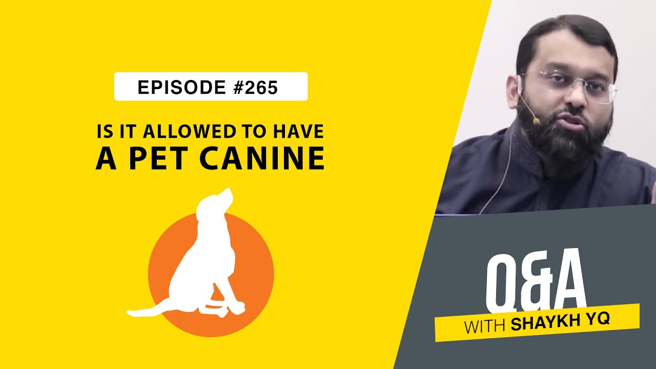 Is There Any Leeway in Keeping A Pet Canine? | Ask Shaykh YQ - EP 265