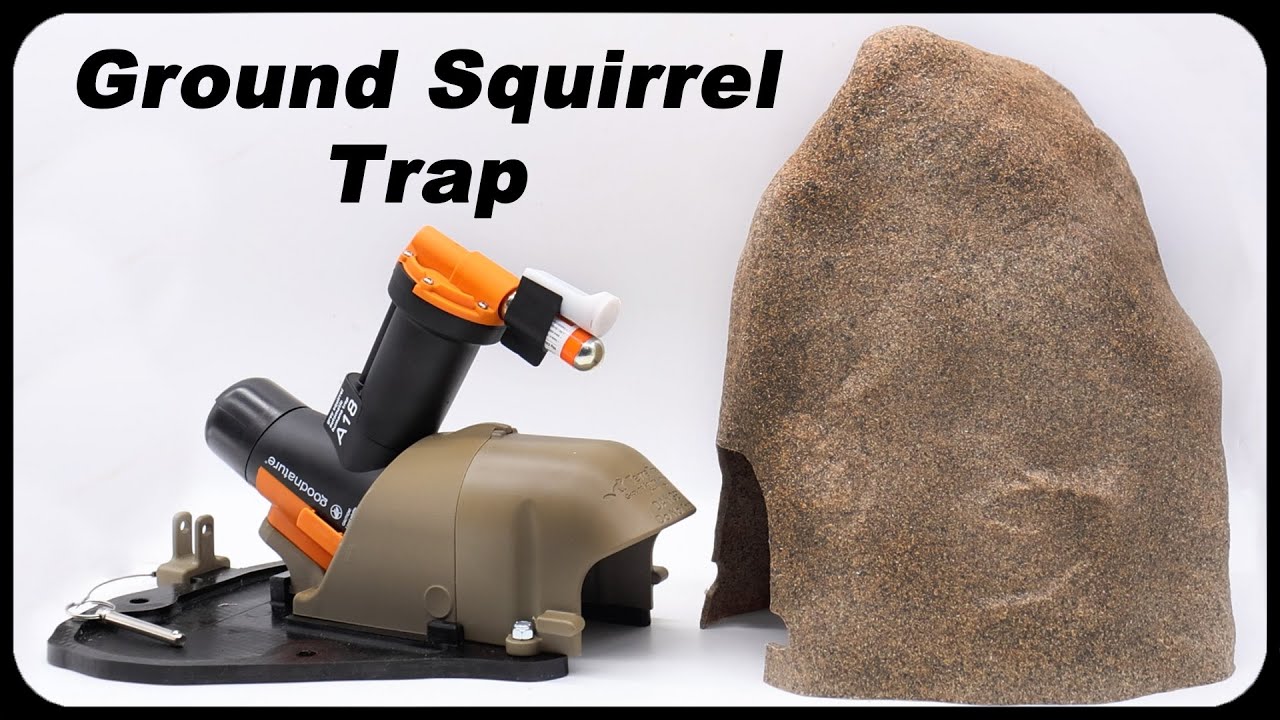Insane Power! The TerraTrap GS Ground Squirrel Trap - Goodnature A18 - Mousetrap Monday