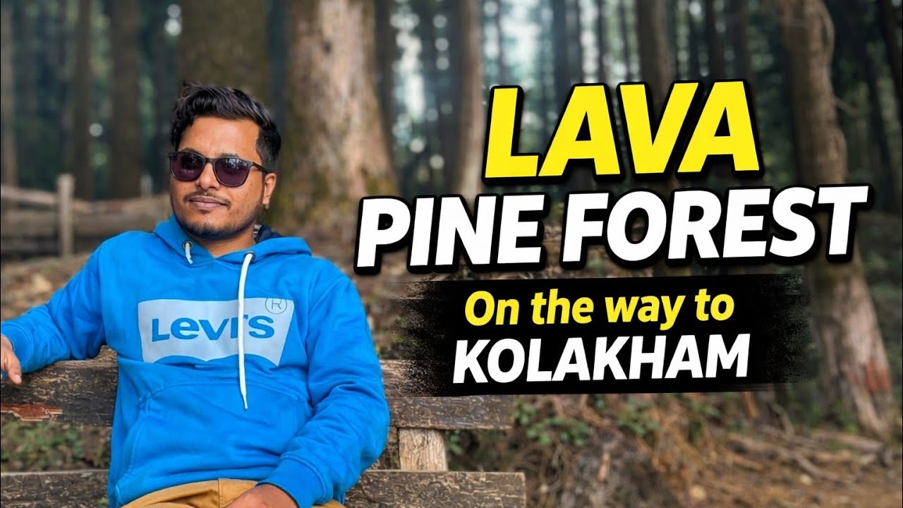 Lava Pine Forest 😍 | On the Way to Kolakham | Hidden Forest of North Bengal 