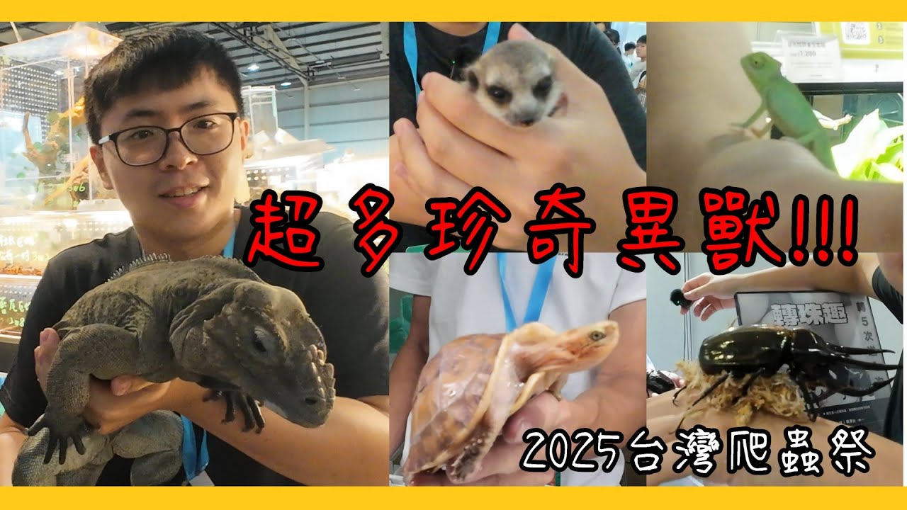 【搶先看!!! 2025台灣爬蟲祭(夏季場)】 Feat.鸚鵡小木屋