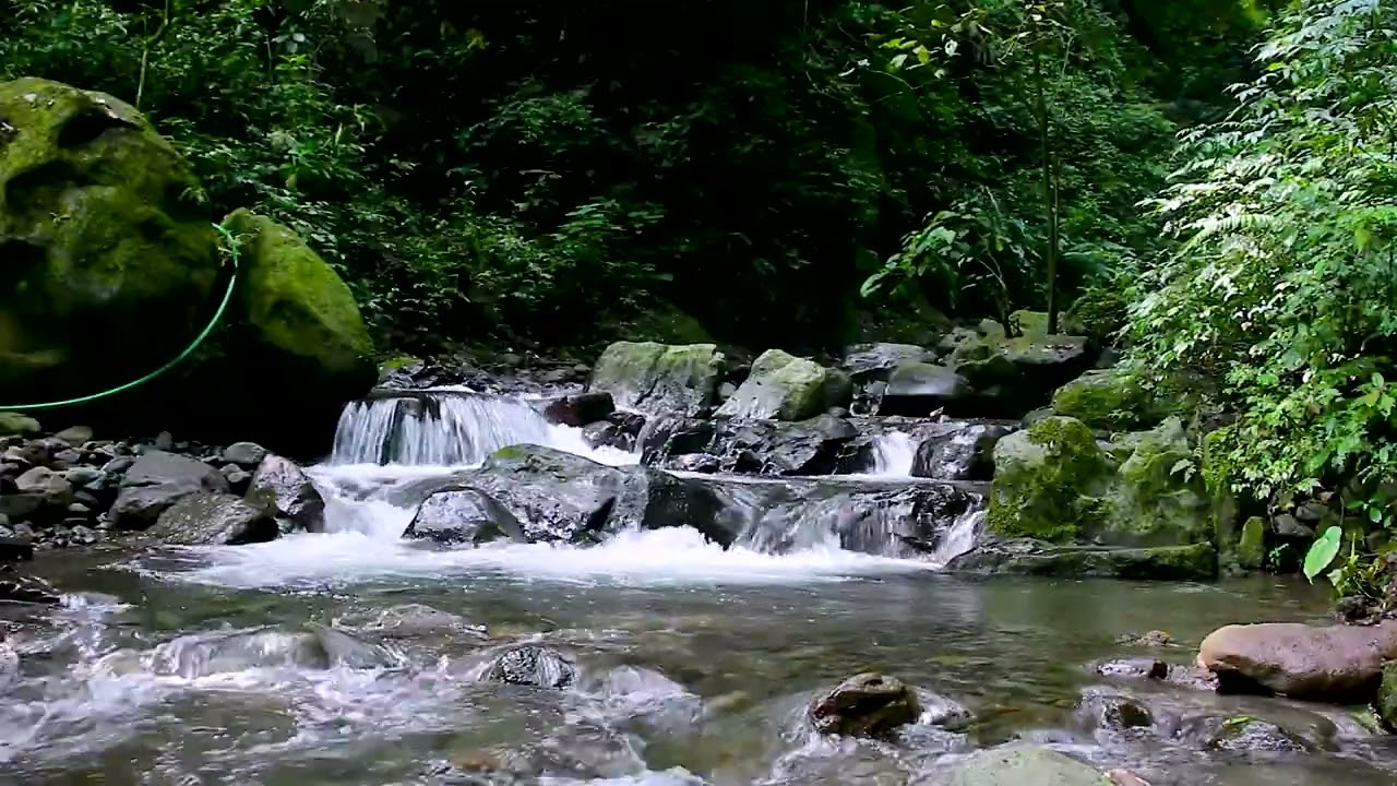 Mountain River Flow | Gentle Stream Over Rocks for Relaxation