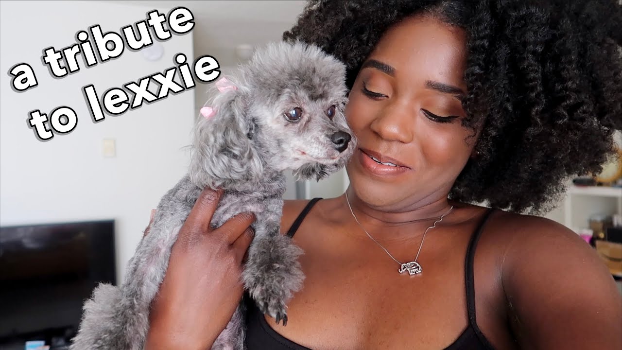 Saying Goodbye To My Dog Lexxie... Losing My Best Friend