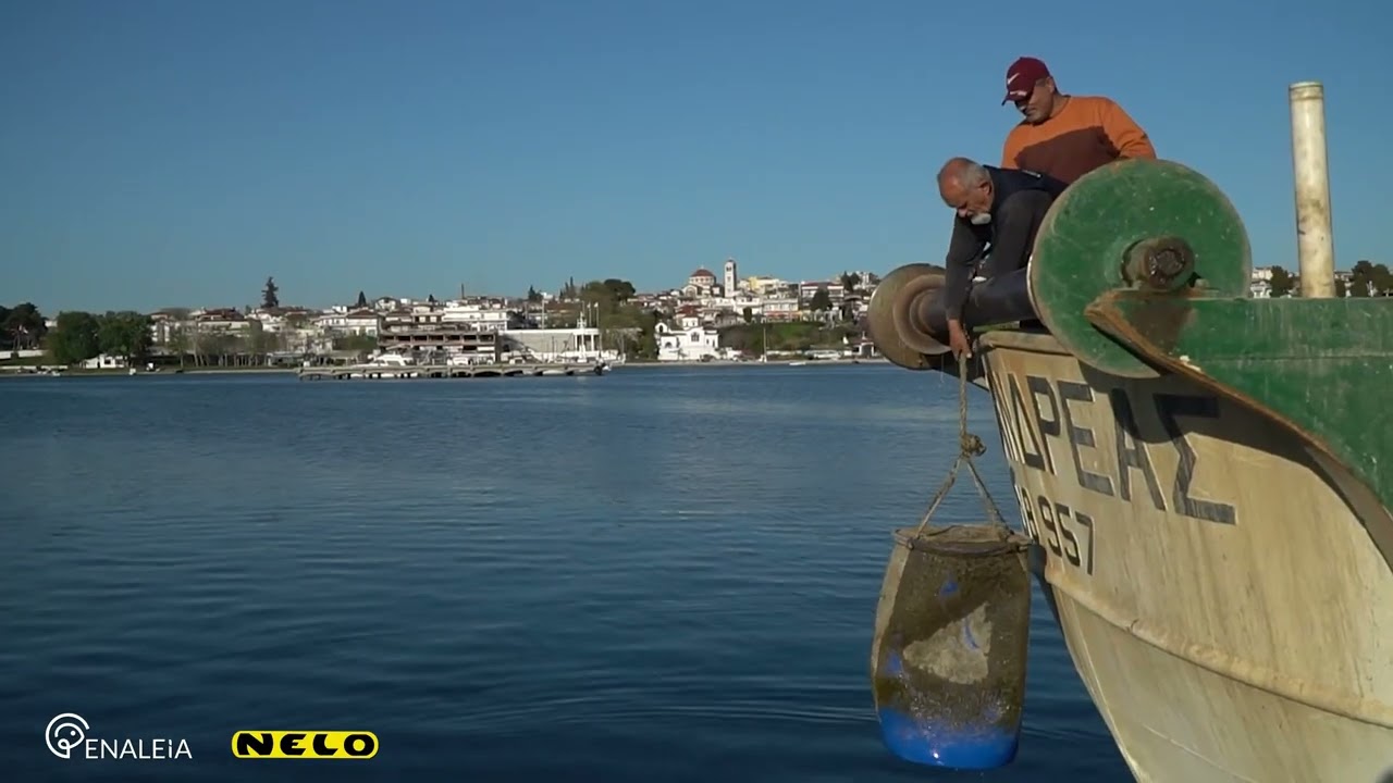 Enaleia x Nelo Kayak