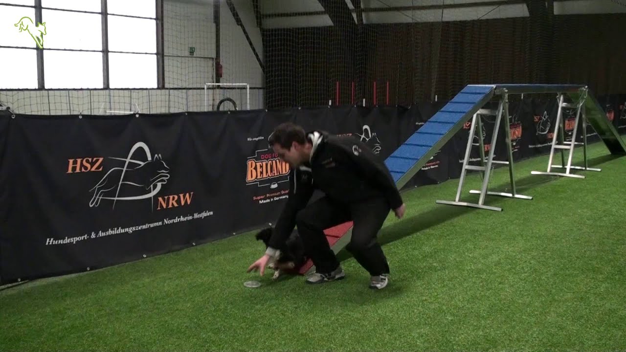 Agility Tipps vom Profi Tobias Wüst