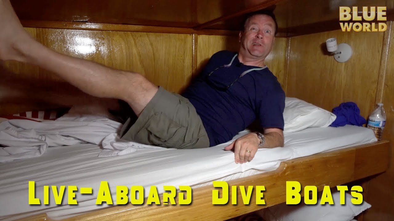 Liveaboard Tour | BLUE WORLD VLOG