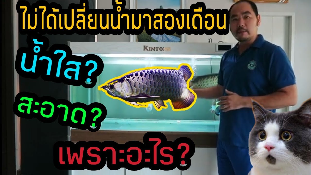 ตู้ปลาที่ไม่ล้างมาสองเดือน