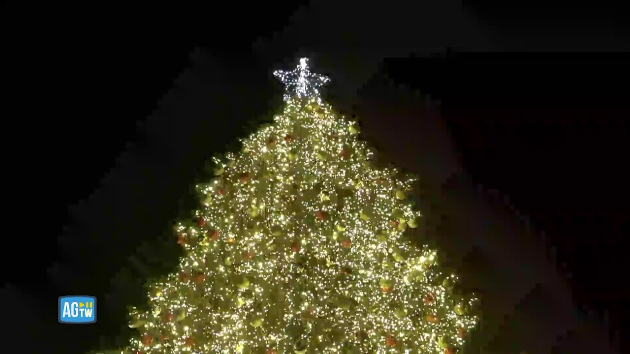 In diretta da Roma per l'accensione dell'albero di Natale di Piazza Venezia