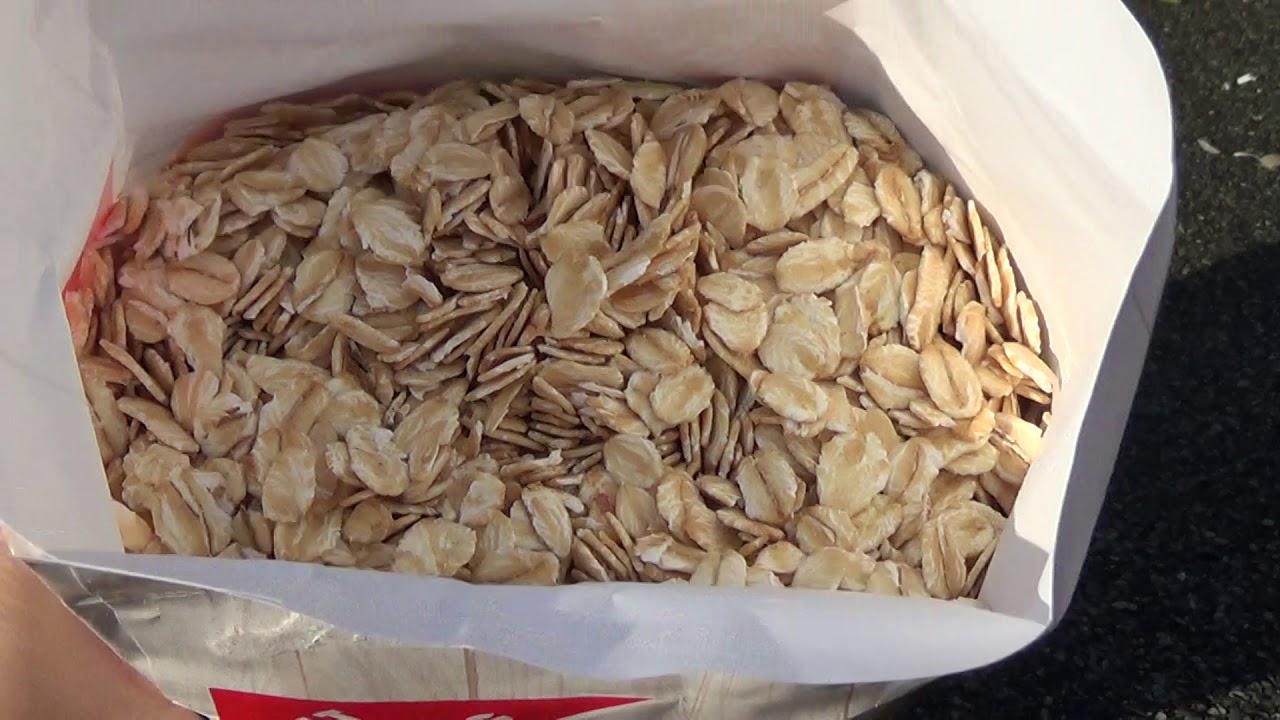 Чем подкармливать крольчат! Просто, сытно и безопасно.